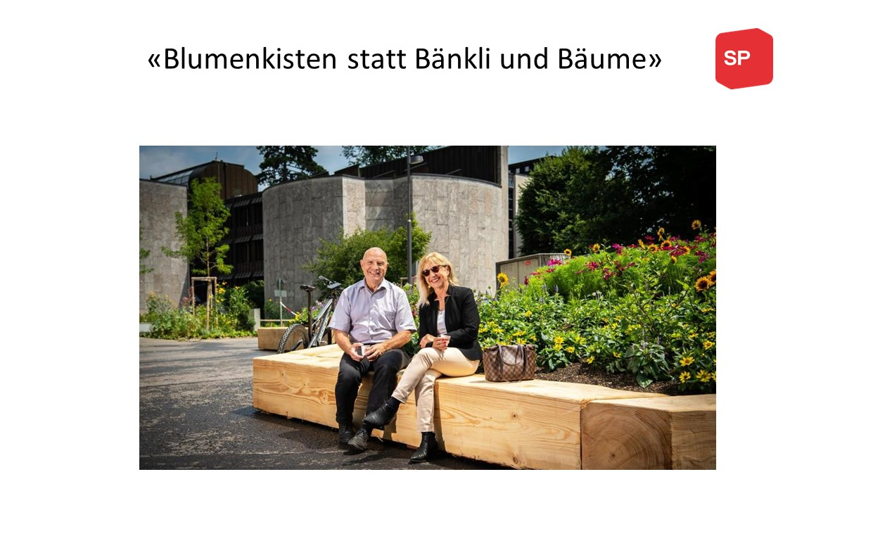 Fraktionserklärung zu “Aussenraumgestaltung Hirschwiesen”